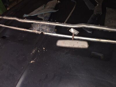 image10.jpeg image10.jpeg