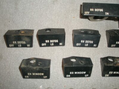 Pumps Switches Bezels Misc 027 (Small).JPG