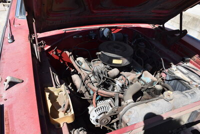 DSC_0010.JPG DSC_0010.JPG