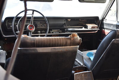 DSC_0027.JPG DSC_0027.JPG