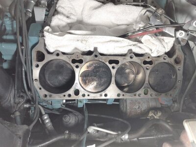 IMG_20210409_181137411.jpg IMG_20210409_181137411.jpg