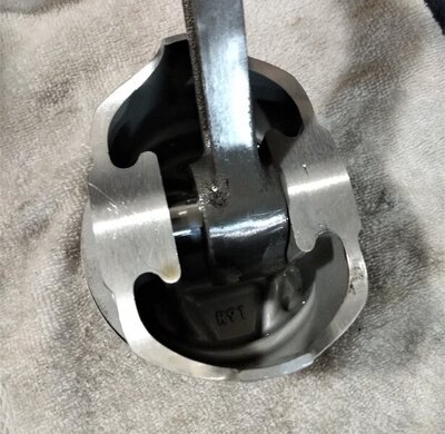 IMG_20210409_191459775_PORTRAIT.jpg IMG_20210409_191459775_PORTRAIT.jpg