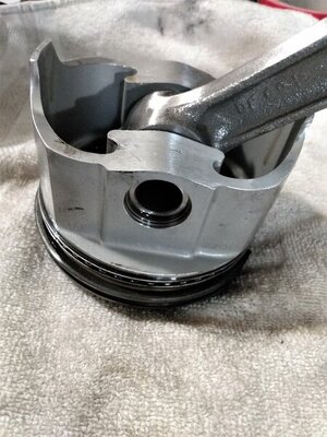 IMG_20210409_191511542_PORTRAIT.jpg IMG_20210409_191511542_PORTRAIT.jpg