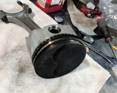 IMG_20210409_191527968_PORTRAIT.jpg IMG_20210409_191527968_PORTRAIT.jpg