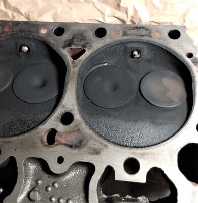 IMG_20210409_191917441_PORTRAIT.jpg IMG_20210409_191917441_PORTRAIT.jpg