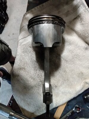 IMG_20210410_050644653_PORTRAIT.jpg IMG_20210410_050644653_PORTRAIT.jpg