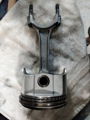 IMG_20210410_050733197.jpg IMG_20210410_050733197.jpg