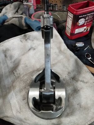 IMG_20210410_050930446_PORTRAIT.jpg IMG_20210410_050930446_PORTRAIT.jpg