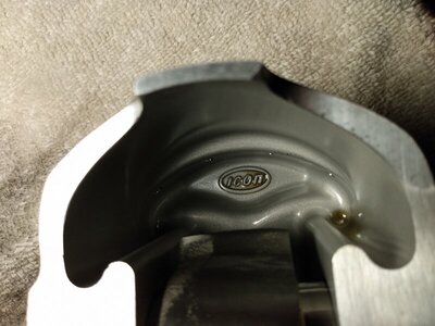 IMG_20210410_051100843_PORTRAIT.jpg IMG_20210410_051100843_PORTRAIT.jpg