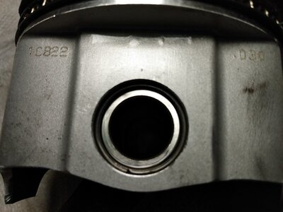 IMG_20210410_061725781.jpg IMG_20210410_061725781.jpg