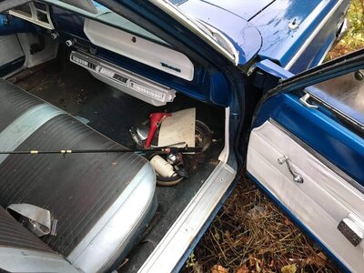 received_427203658457519.jpeg received_427203658457519.jpeg