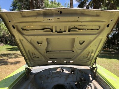 C305AE0E-28AB-4579-98F9-06192ADEF5E8.jpeg C305AE0E-28AB-4579-98F9-06192ADEF5E8.jpeg