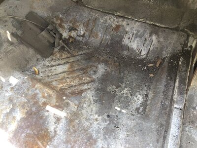 35FD9C18-54CC-4764-812C-7826609F4190.jpeg 35FD9C18-54CC-4764-812C-7826609F4190.jpeg