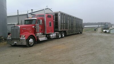 51688.jpeg 51688.jpeg