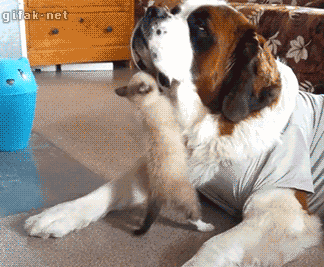 1 saint.gif