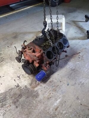 IMG_20210419_100941224.jpg IMG_20210419_100941224.jpg