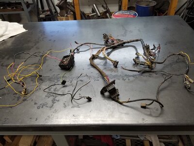 20210422_081739.jpg 20210422_081739.jpg