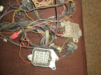 Wire Harness Inst. Panel 71-74 007 (Small).JPG