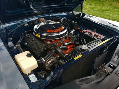 20210426_071153.jpg 20210426_071153.jpg