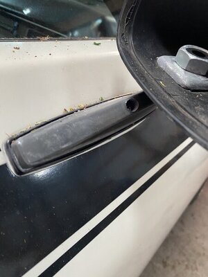 4B3699E0-BB01-4CC0-8832-50DCA700B792.jpeg 4B3699E0-BB01-4CC0-8832-50DCA700B792.jpeg