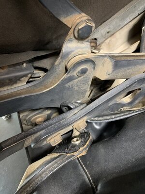 4470C05C-59B7-4E67-91B5-7AC4B68C6179.jpeg 4470C05C-59B7-4E67-91B5-7AC4B68C6179.jpeg