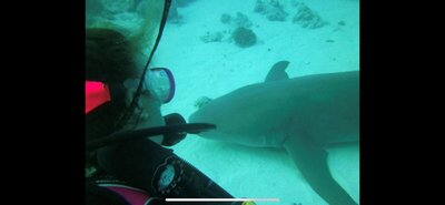 bobbie and nurse shark.jpg