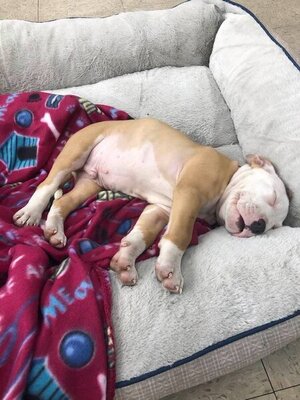 168094319_10222572621738310_4548710733542952098_n.jpg 168094319_10222572621738310_4548710733542952098_n.jpg