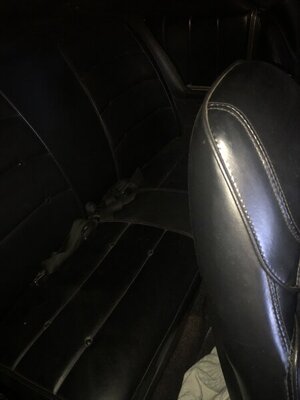 1772D995-095E-4E4F-A8C5-5C1DB7D3BBB6.jpeg 1772D995-095E-4E4F-A8C5-5C1DB7D3BBB6.jpeg