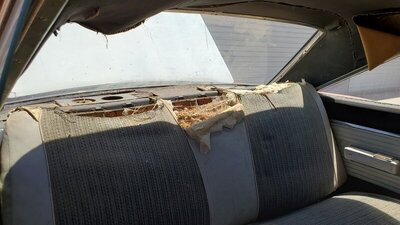 back seat.jpg back seat.jpg