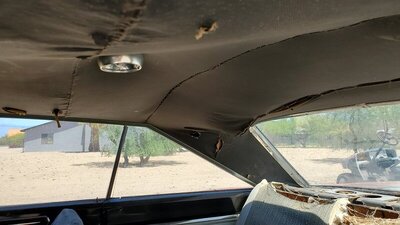 pass headliner.jpg pass headliner.jpg