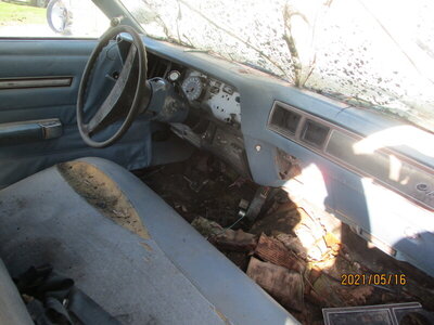 IMG_1215.JPG IMG_1215.JPG