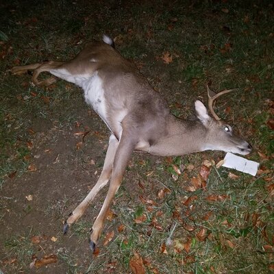 20161115_194054.jpg