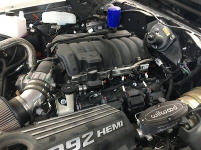 IMG_1760.JPG IMG_1760.JPG