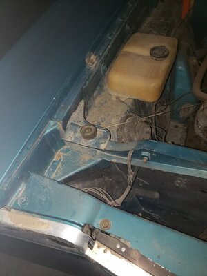 20210512_202613.jpg 20210512_202613.jpg