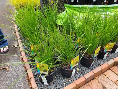 20210523_143343.jpg 20210523_143343.jpg