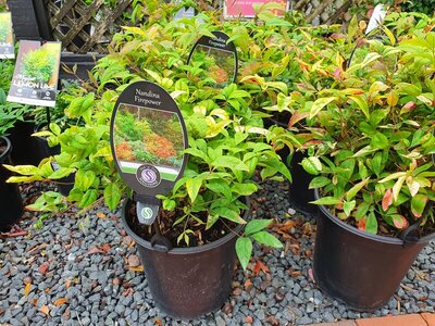 20210523_143418.jpg 20210523_143418.jpg