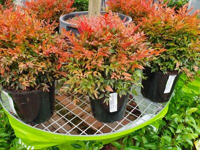 20210523_143951.jpg 20210523_143951.jpg