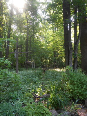 DSCN2288.JPG DSCN2288.JPG