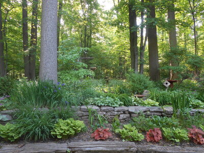 DSCN2290.JPG DSCN2290.JPG