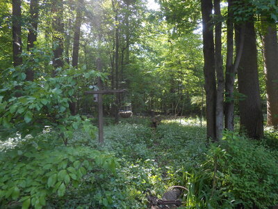 DSCN2291.JPG DSCN2291.JPG