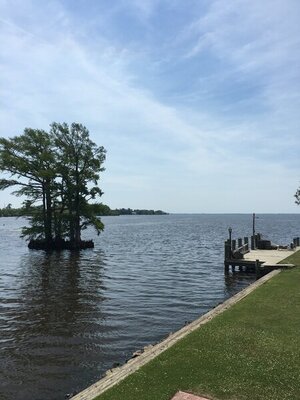 IMG-3306.JPG IMG-3306.JPG