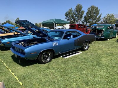 70BF3E71-97D5-4E84-856D-5012A651E94D.jpeg 70BF3E71-97D5-4E84-856D-5012A651E94D.jpeg