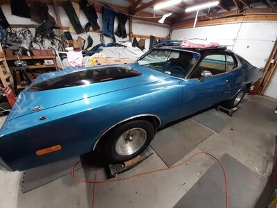 Wheel Opening Trim 5.jpg Wheel Opening Trim 5.jpg