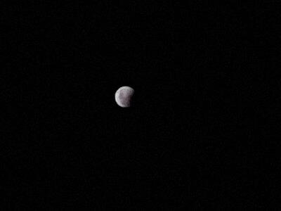 20210526_215204.jpg