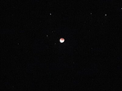 20210526_232022.jpg