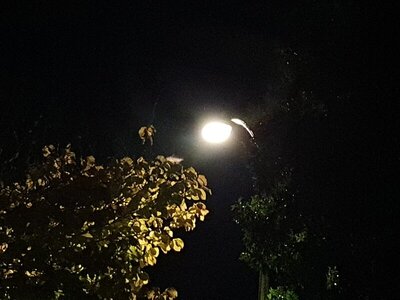 20210526_232033.jpg