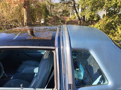 Cody 3.JPG Cody 3.JPG