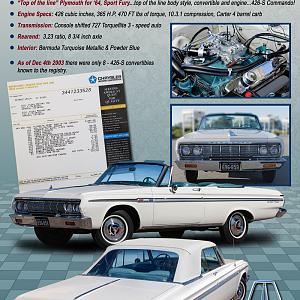 Show board Sport Fury.jpg