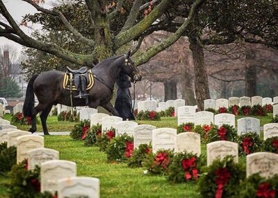 Riderless Horse Memorial Day.jpg