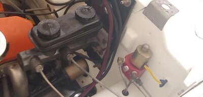 image.jpeg image.jpeg